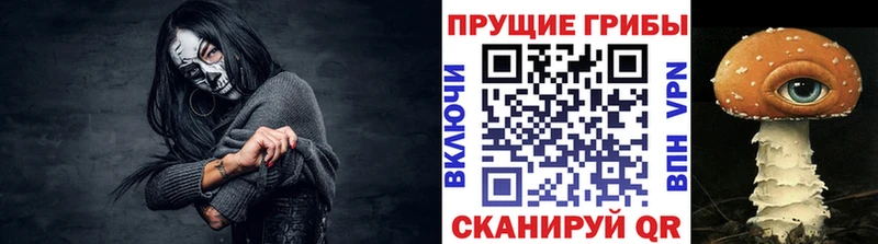 купить наркотик  Зеленоградск  Псилоцибиновые грибы ЛСД 